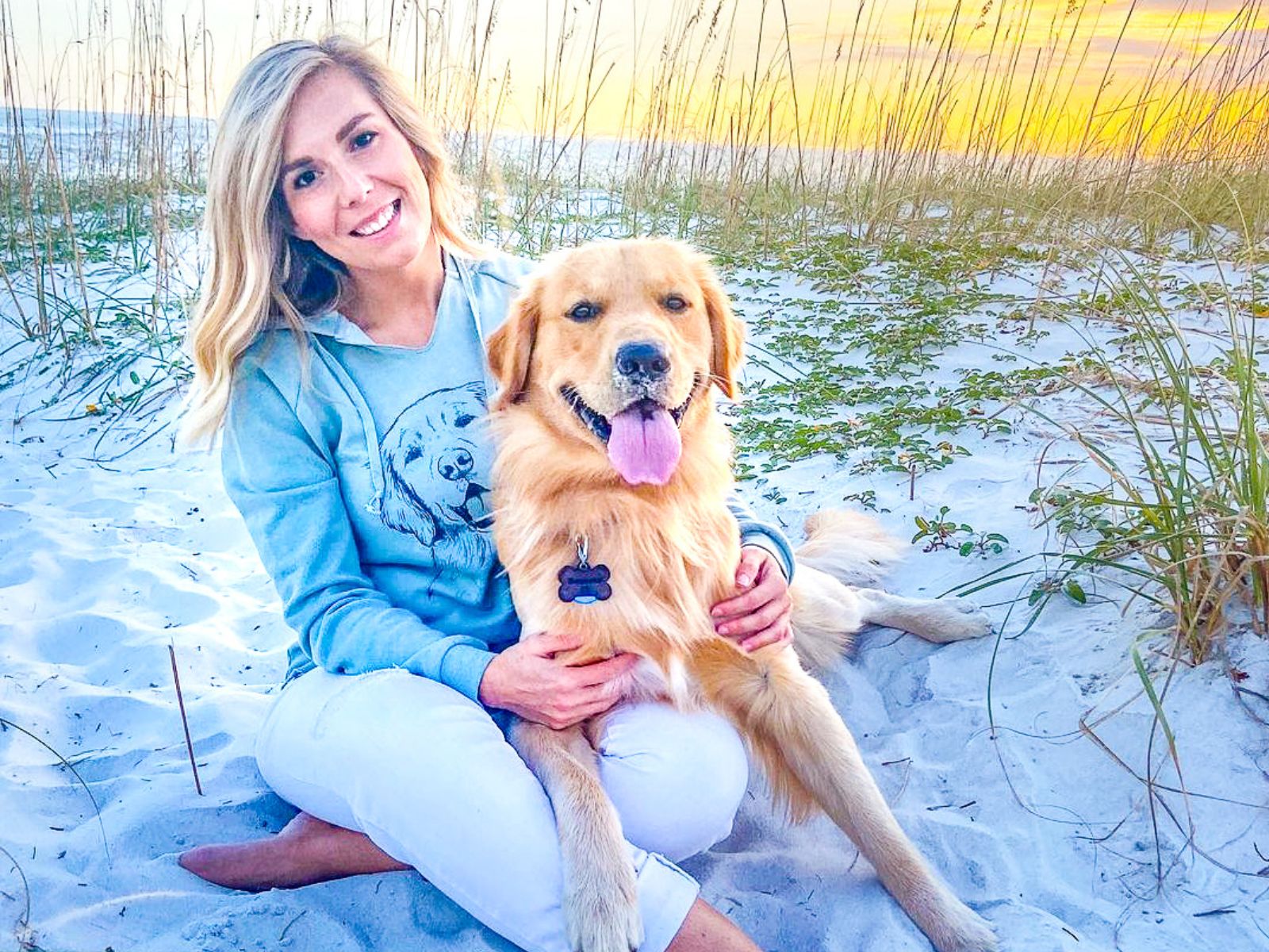 Dog on the beach