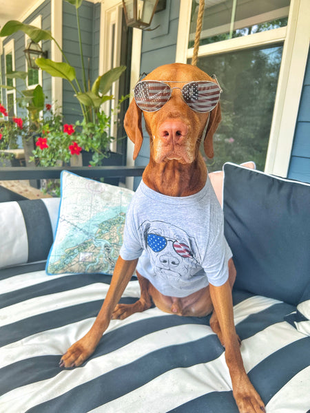 Dog wearing USA shirt