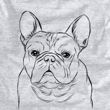 Fudge the French Bulldog drawing