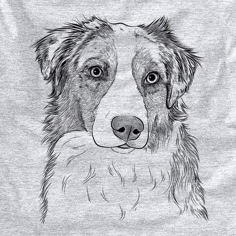 Ginger the Aussie drawing
