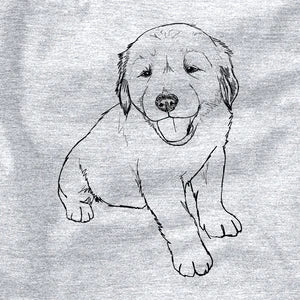 Golden Retriever puppy drawing