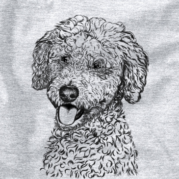 Goldendoodle drawing