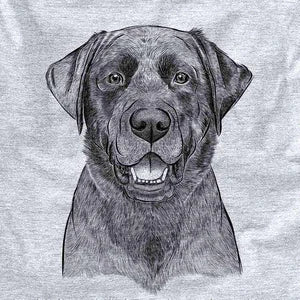 Black Labrador drawing