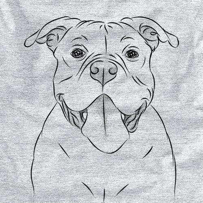 American Bully vs American Bulldog: What Are The Differences