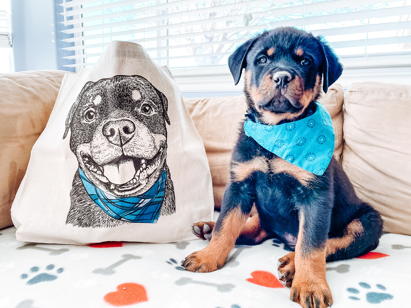 Rottweiler Tote Bag