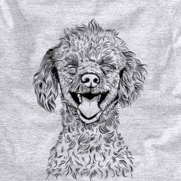 Rusty the Toy Poodle drawing