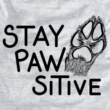 Stay Pawsitive