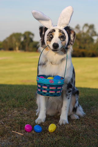 Easter Egg Basket Dog