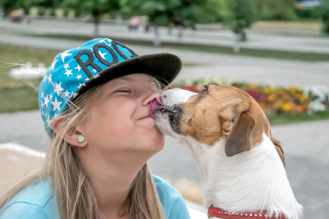 Dog kisses kid