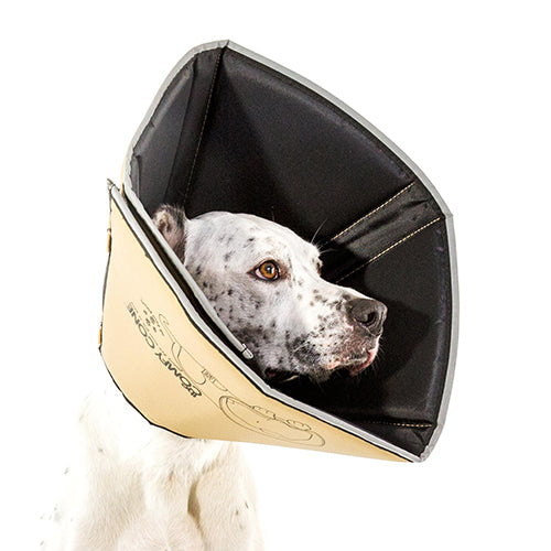 Comfy cone dog cone