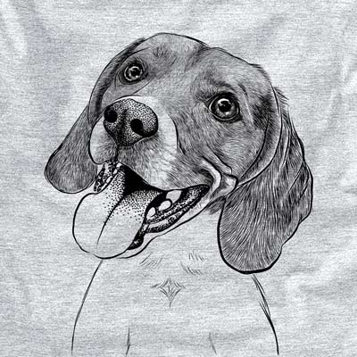 Beagle drawing