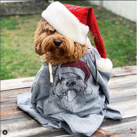 Dog wearing Santa hat and hoodie