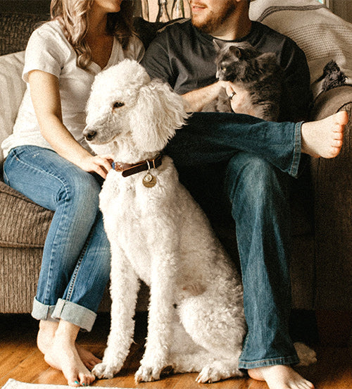 couple holding their pets