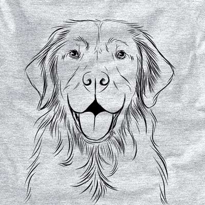 Sunny the Golden Retriever drawing