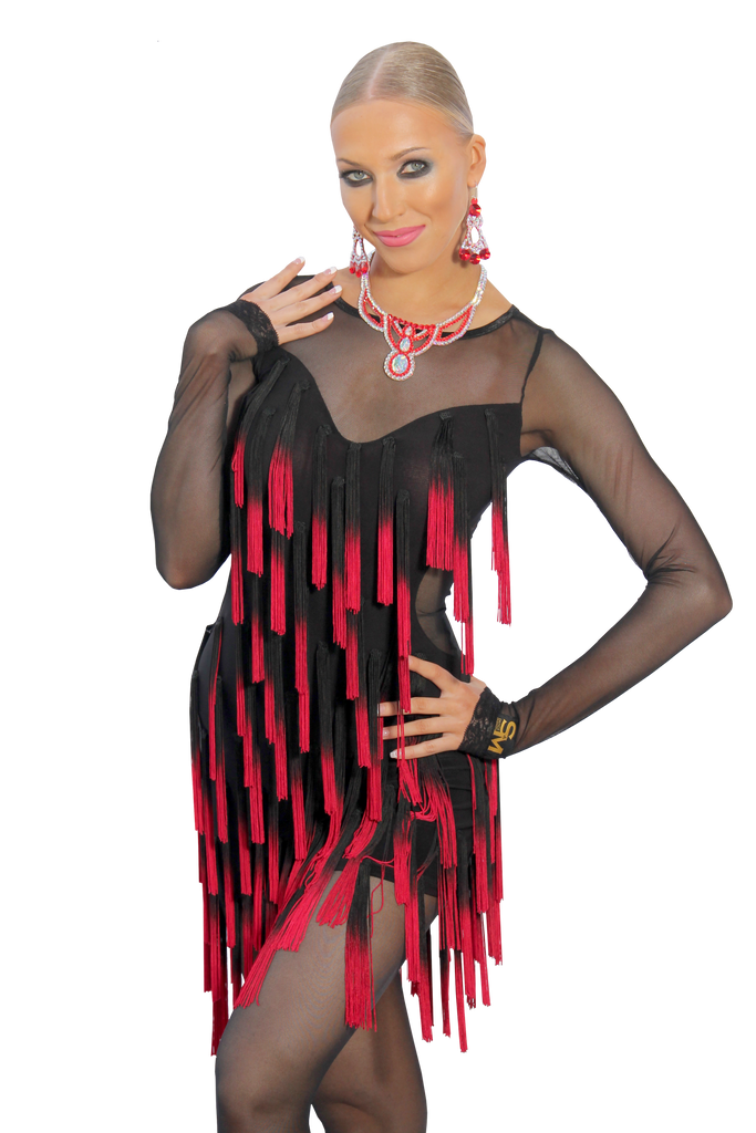 Transparent Tassel Fringe Latin & Rhythm Dress | SM Dance Fashion