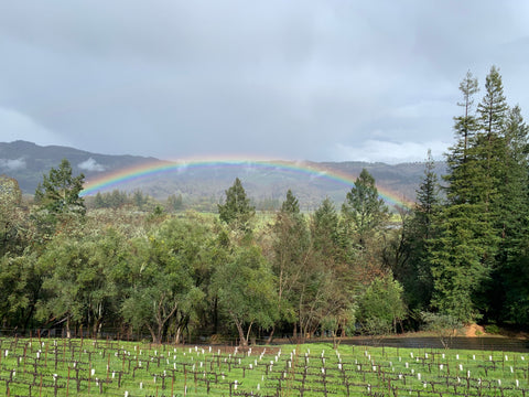 Sabina Vineyards Winery with a beautiful view of Napa Valley