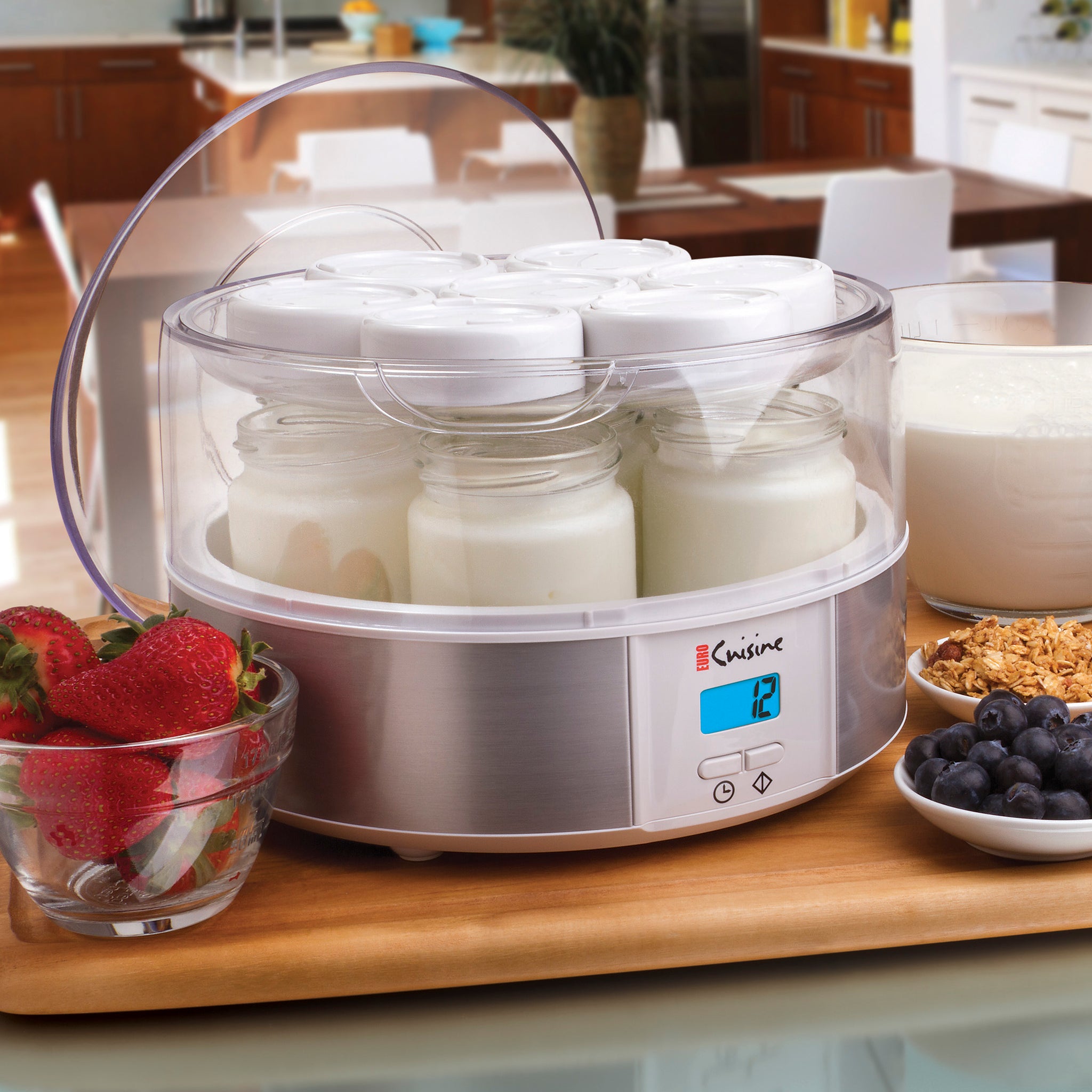 euro cuisine yogurt maker