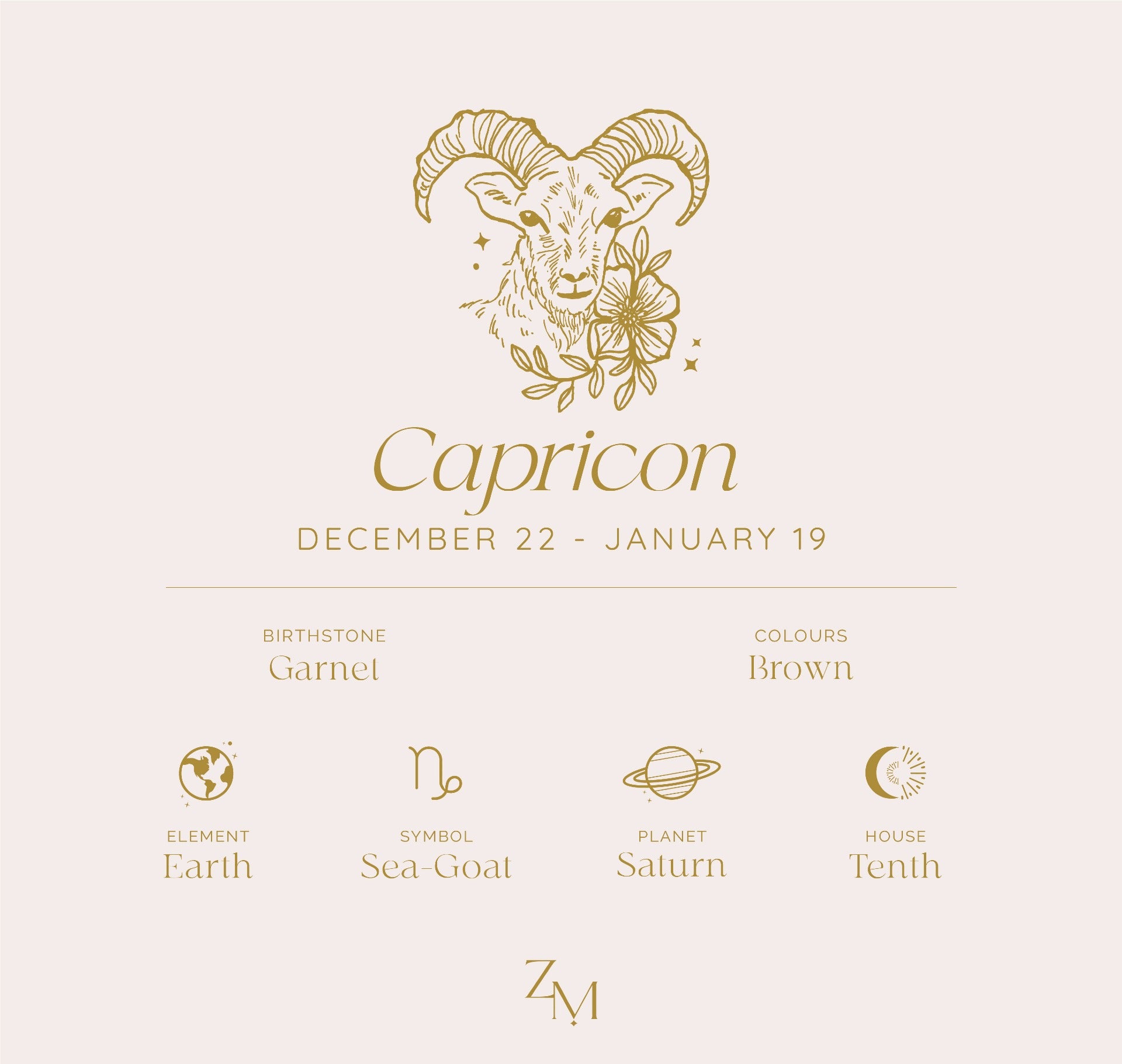 Capricorn chart