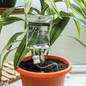 Plant Life Support Houseplant Watering Device - Shut Up and Take my MONEY - Plant Self Watering Devices