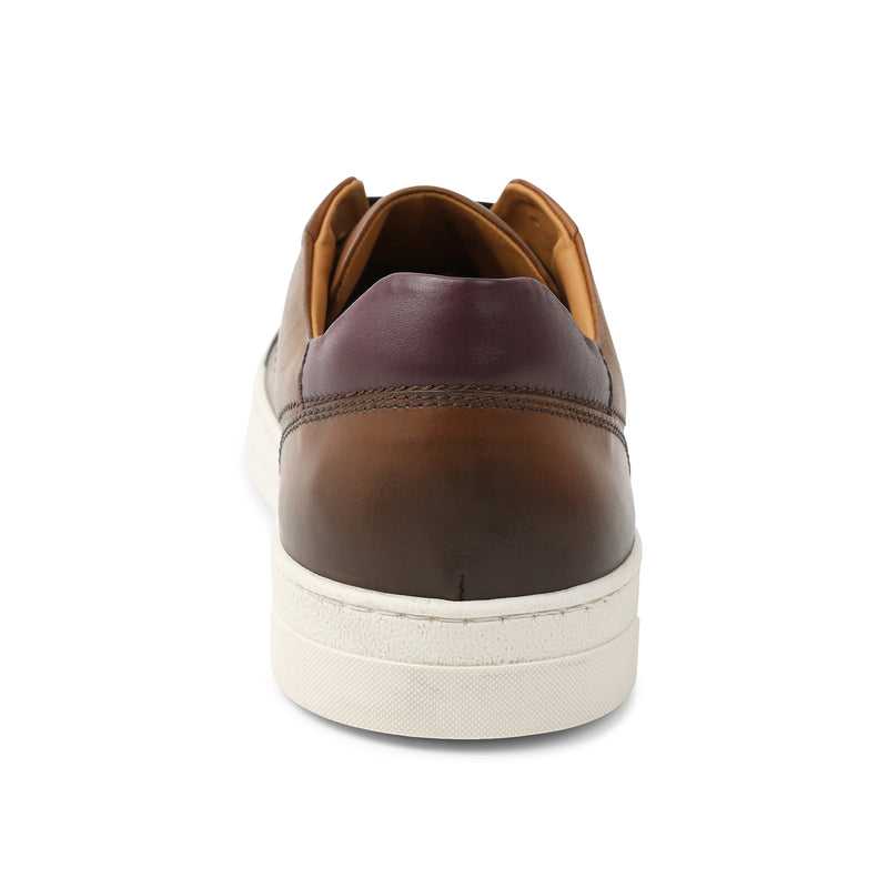 Dante Lace-to-Toe Oxford Sneaker - Cognac – Bruno Magli