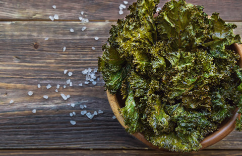 food dryer makes dried herbs