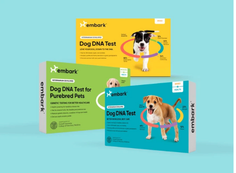 Three Different Types of Embark Dog DNA Tests.