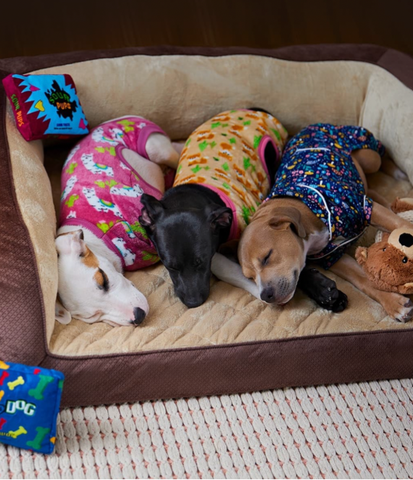Three adorable dogs lay next to each other in matching pajamas. 