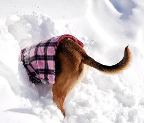 A dog in a puffer coat sticks their rear end out of a snow bank.