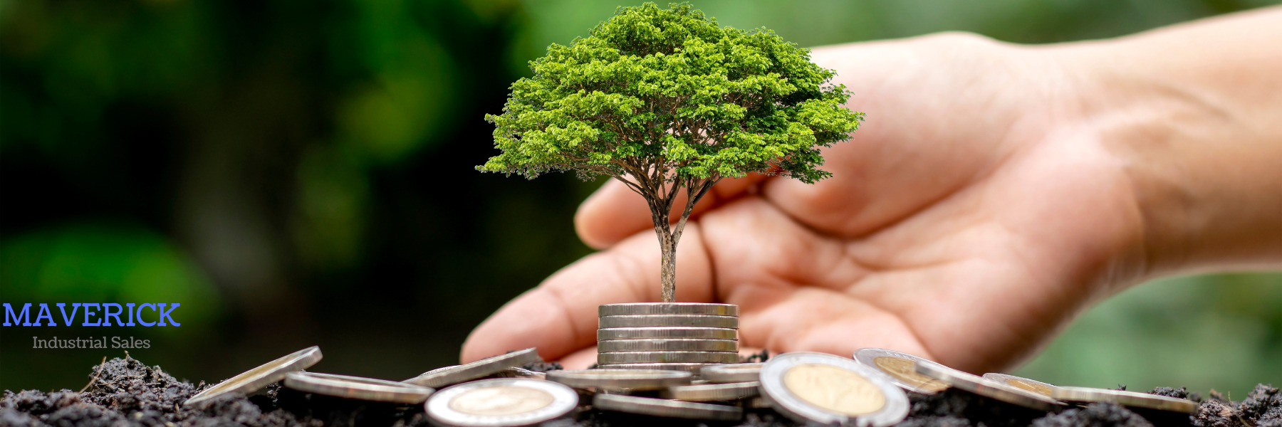 hand with tiny tree and coins