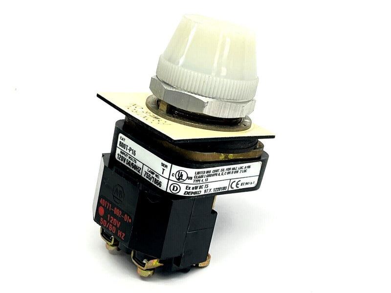 大光電機(DAIKO) アウトドアローポール ランプ付 LED電球 4.6W(E26) 電球色 2700K DWP-38636Y ブラック - 1