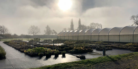 Jekka's herb farm in early spring