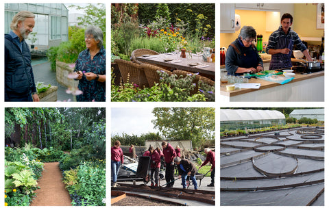 Highlights of 2022: Marcus Warering at Jekka's, Jekka's culinary herb garden for Riverstone, How to Use Herbs Master Class, Sarah Eberle's Chelsea Flower Show Garden, the Bristol Putting Down Roots gang and starting Jekka's Herb Garden.