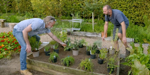 Marcus Wareing's Herb Garden