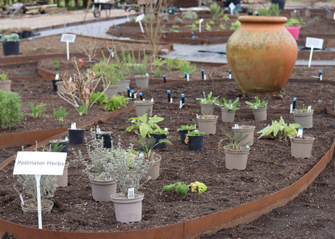 Jekka's Herb Garden