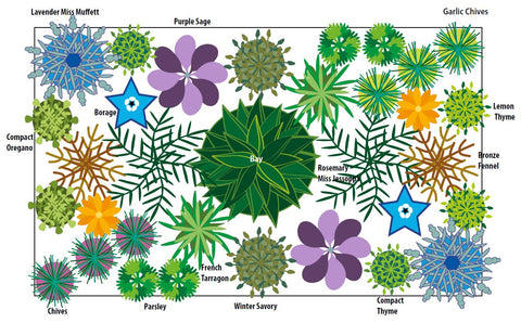 Jekka's small culinary herb garden designs