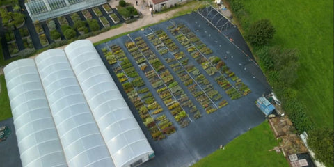 Jekka's Herb Farm aerial view