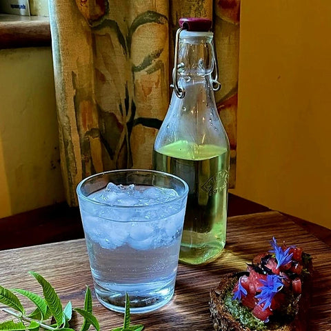 Lemon verbena (Aloysia citradora) Cordial