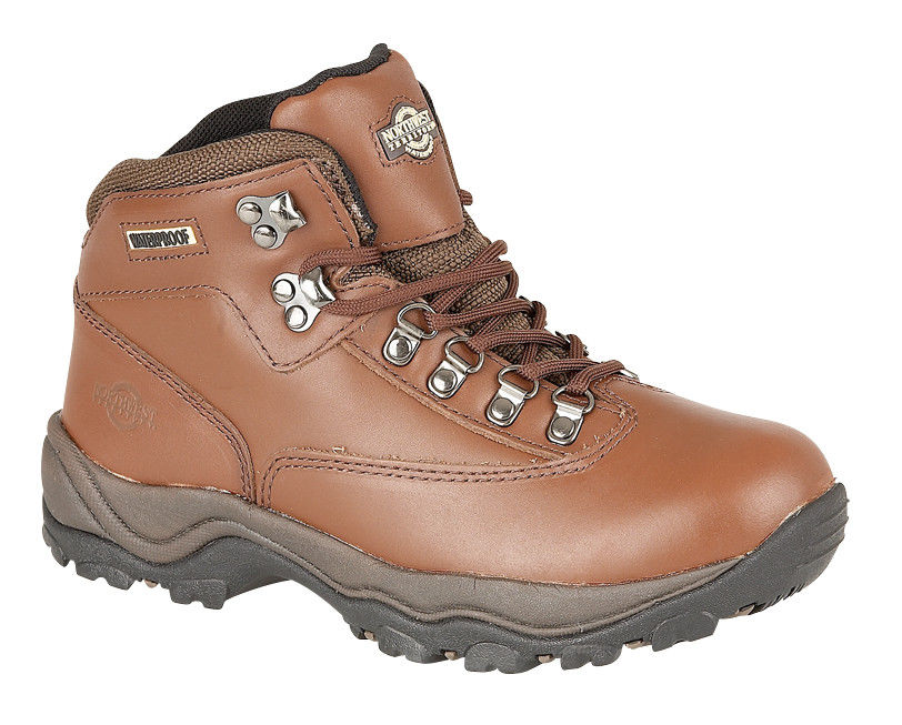 Northwest Territory Peak Brown Womens 