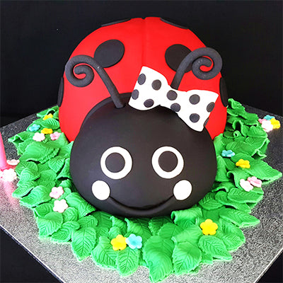 Children's Cakes – Merryday - Cake Decorating Supplies