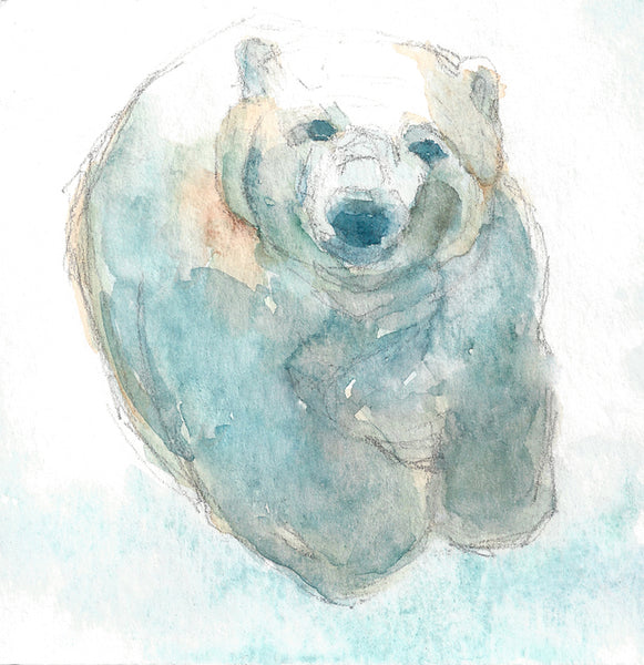 1. Polar Bear