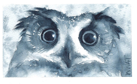 Owl Closeup Watercolor