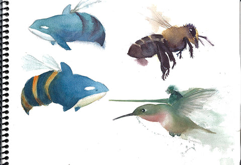 Flying Critters Watercolor