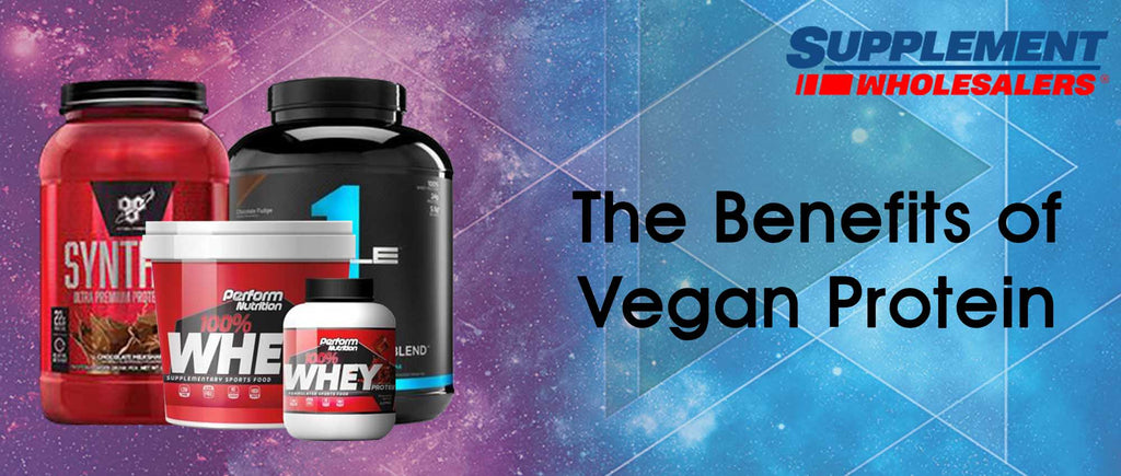 What Is The Best Plant Based Protein Powder