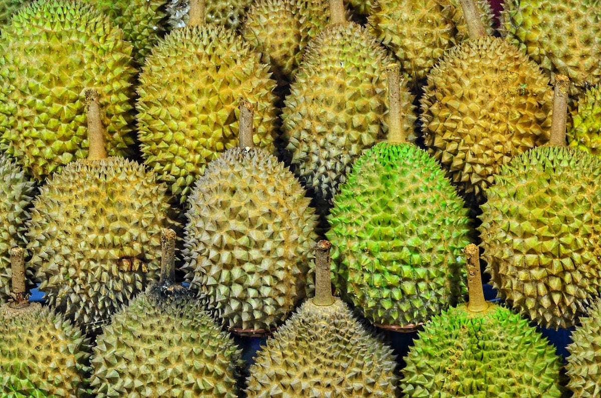 durian-outside