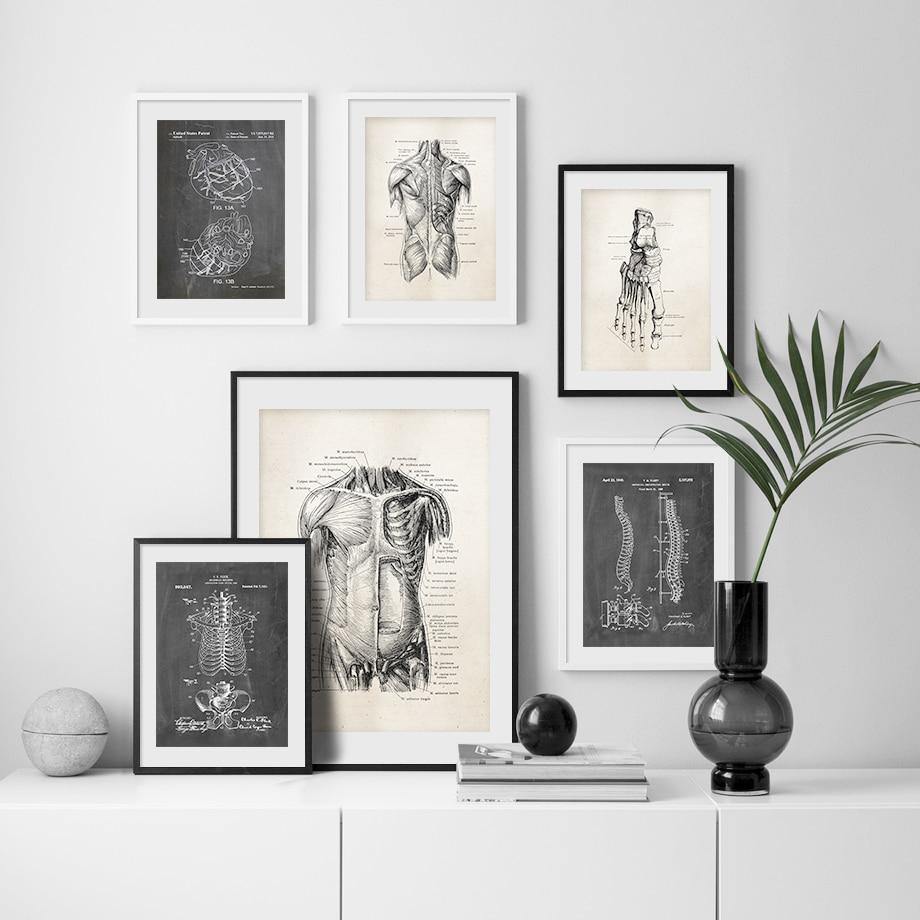 Anatomy Skeleton Patent Wall Art Prints Mix Match 2 Gallery Wallrus Free Worldwide Shipping