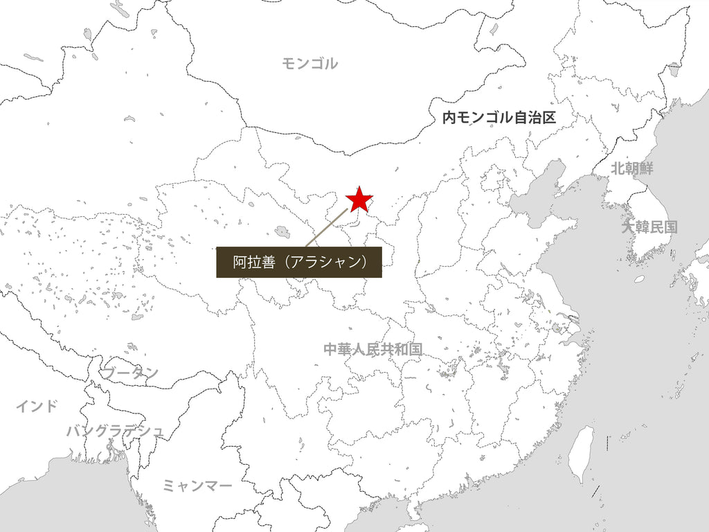 アラシャン地方を示す地図