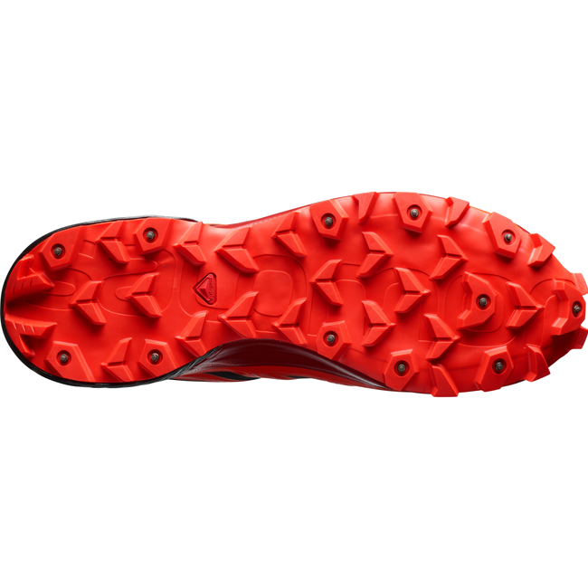 salomon spike cross