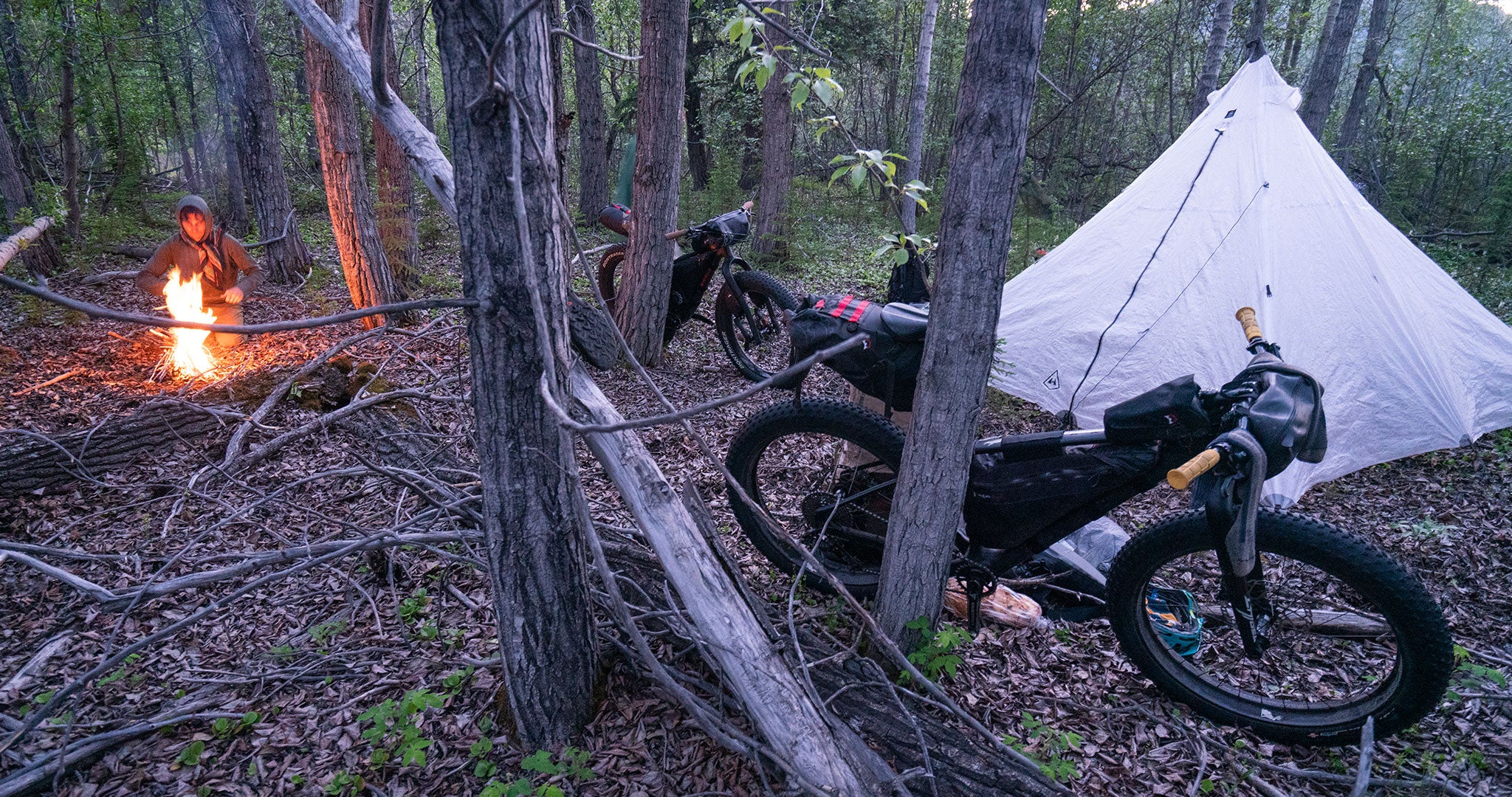 Backcountry camp set up between trees