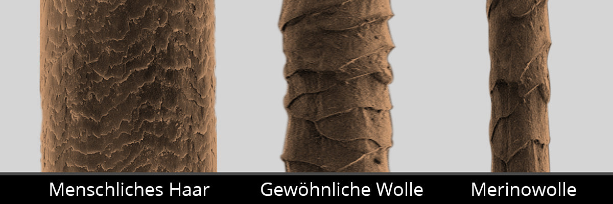 Unterschied Schurwolle zur Schafwolle und Mensch