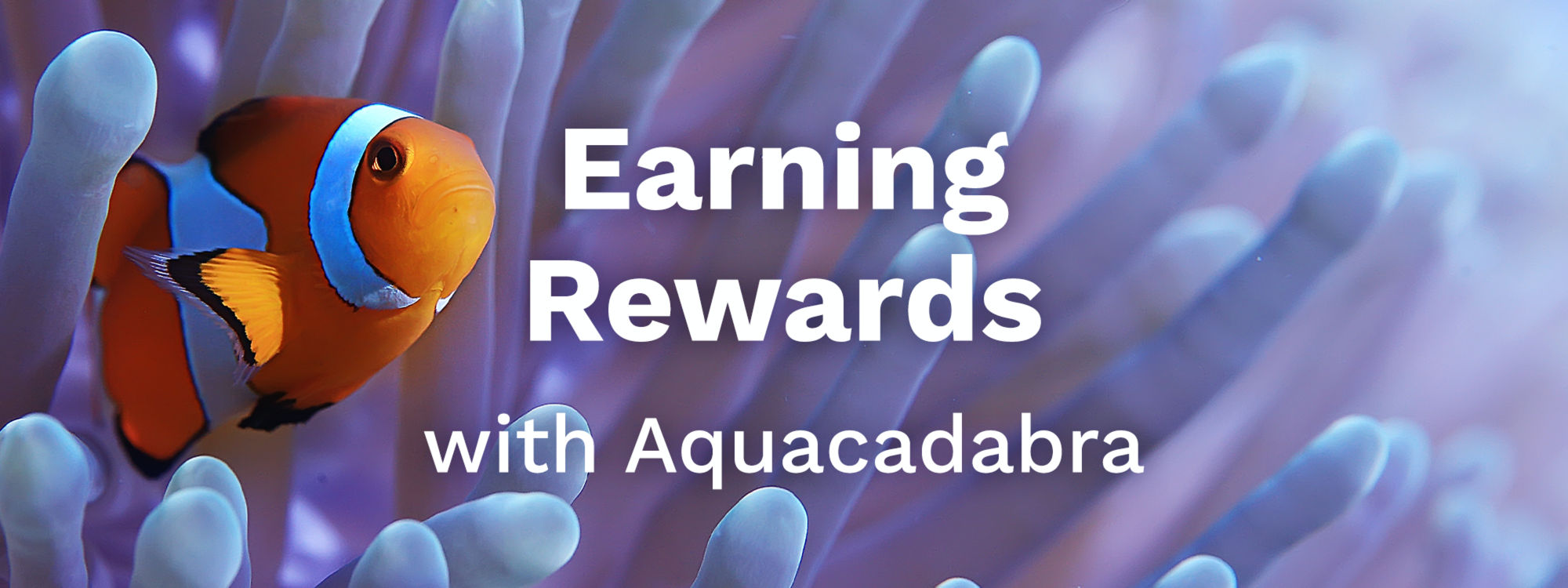 Earning Reward Points with Aquacadabra